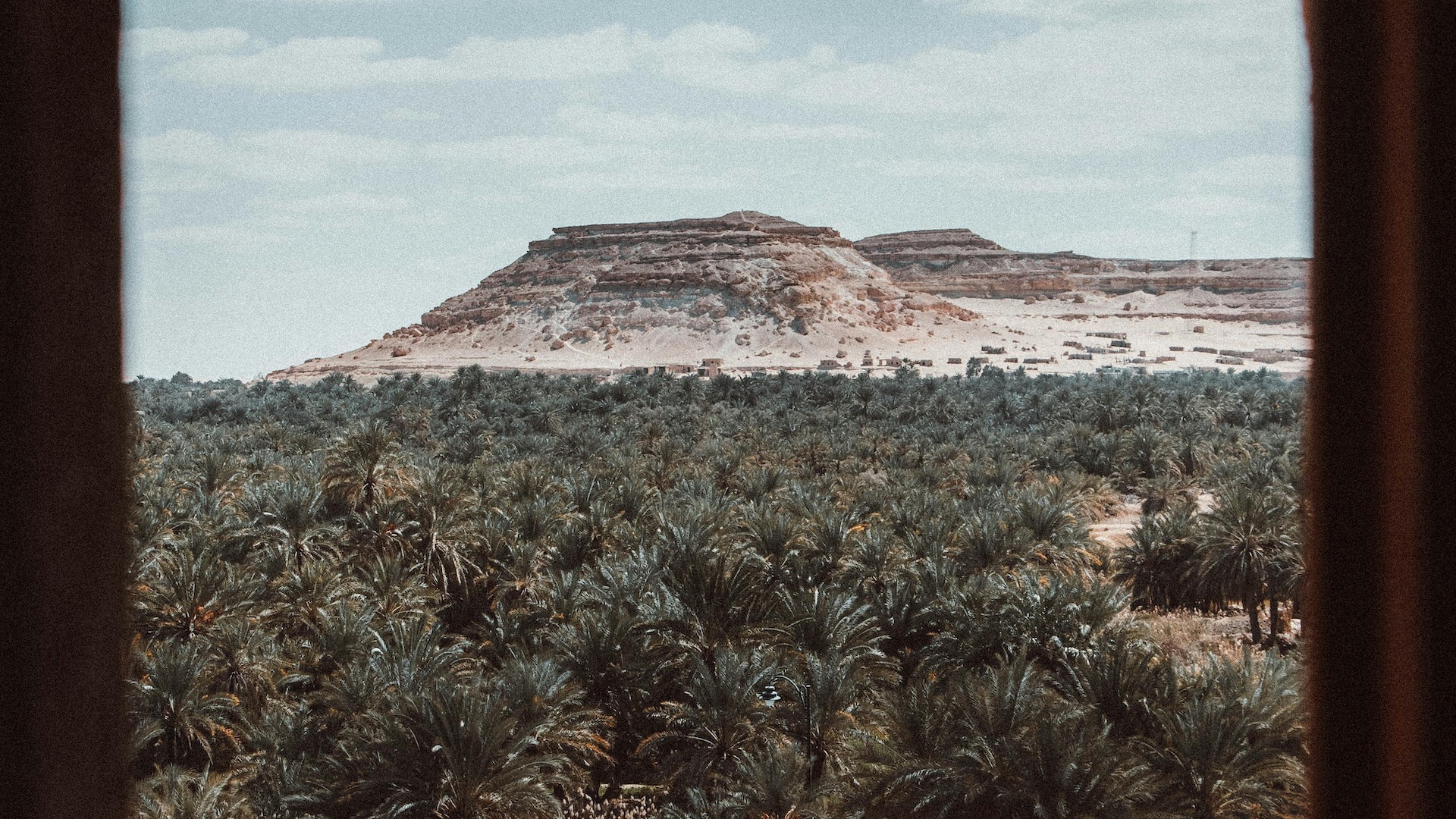 Palm trees and ancient fortress at Siwa Oasis